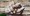 tiny_thumb_1_foto_img_2477edi