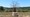 tiny_thumb_3_foto_img_2536edi