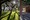 tiny_thumb_1_foto_livroportomos_parquebemposta_5451
