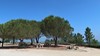 thumb_1_foto_img_2491edi