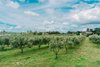thumb_casa_f_1_1024_2500