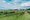tiny_thumb_casa_f_1_1024_2500