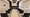 tiny_thumb_1_foto_img_2579edi