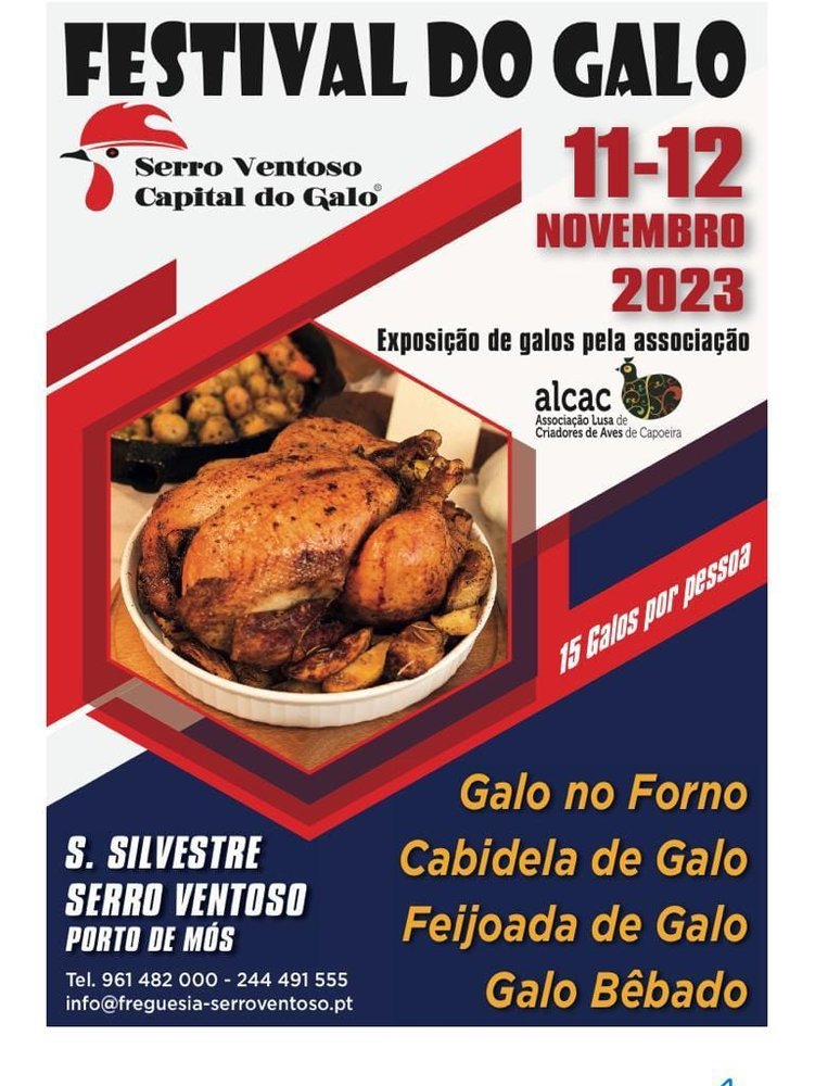 Festival do Galo