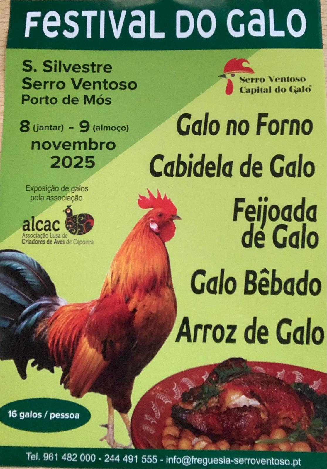 Festival do Galo
