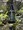 tiny_thumb_img_0182