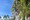 tiny_thumb_pe_codacal_fmr7251