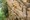 tiny_thumb_pe_poio_daire_fmr7775