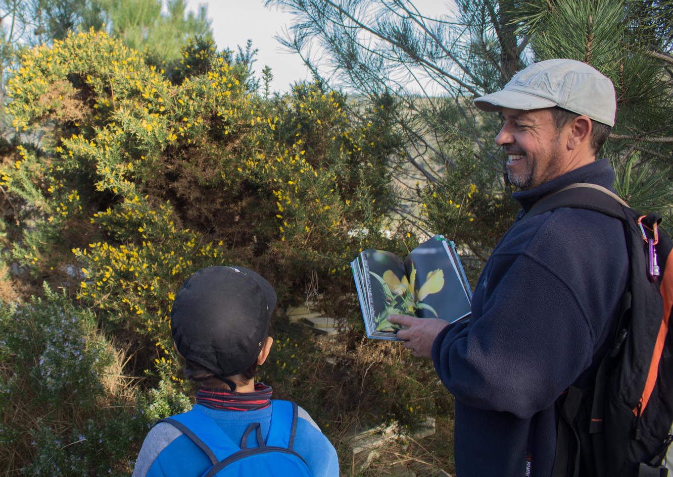 Excursoes Botânicas 