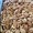 tiny_thumb_past_junc_1