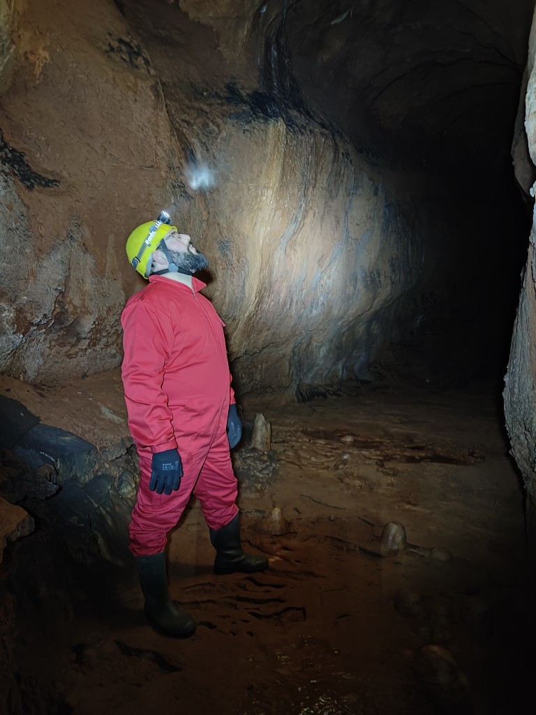 Visita 5 Sentidos - Grutas de Mira de Aire