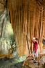 thumb_2_foto_grutasmiraaire_estalactite