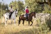 thumb_1_foto_livroportomos_centrohipicoalcaria_7133_edited