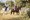 tiny_thumb_1_foto_livroportomos_centrohipicoalcaria_7133_edited
