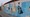 tiny_thumb_img_2446