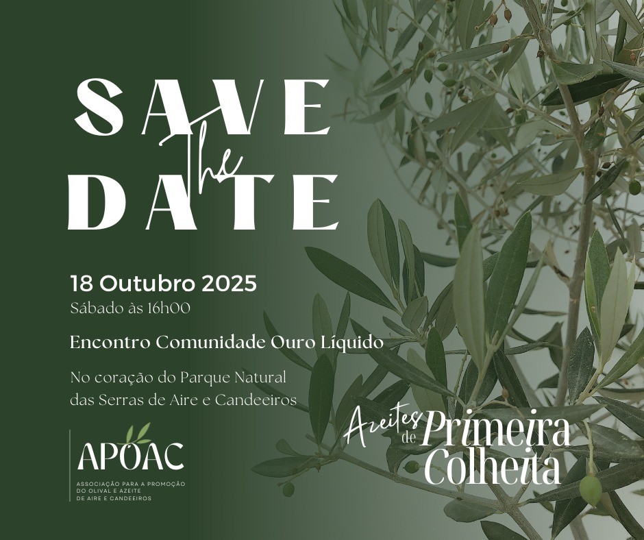 Festival Primeira Colheita – Encontro da Comunidade Ouro Líquido
