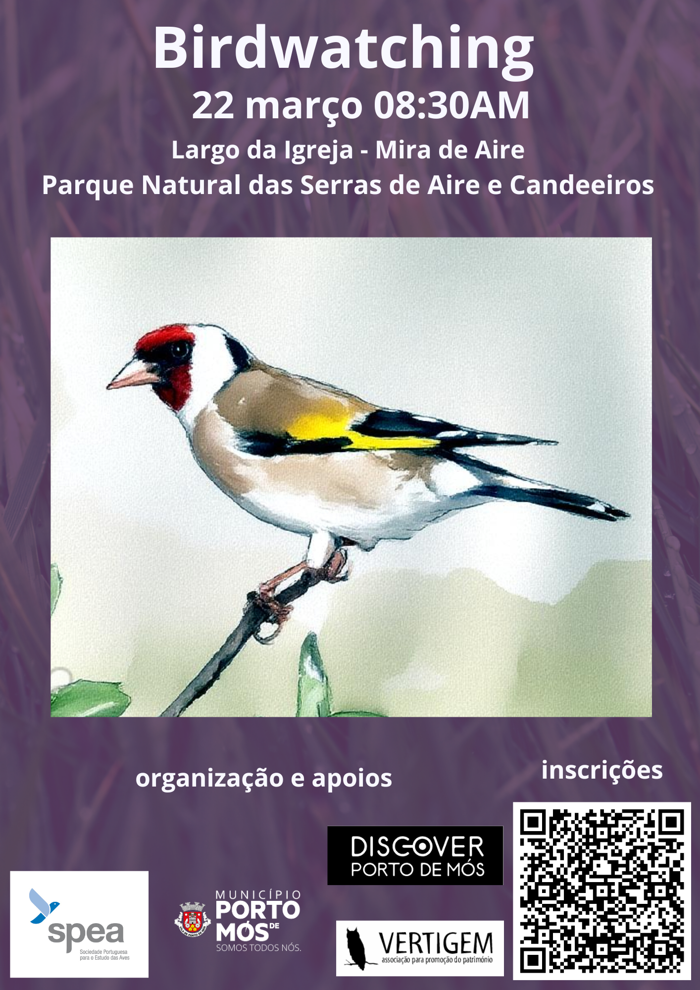 Birdwatching - Observação de Aves Selvagens em Mira de Aire
