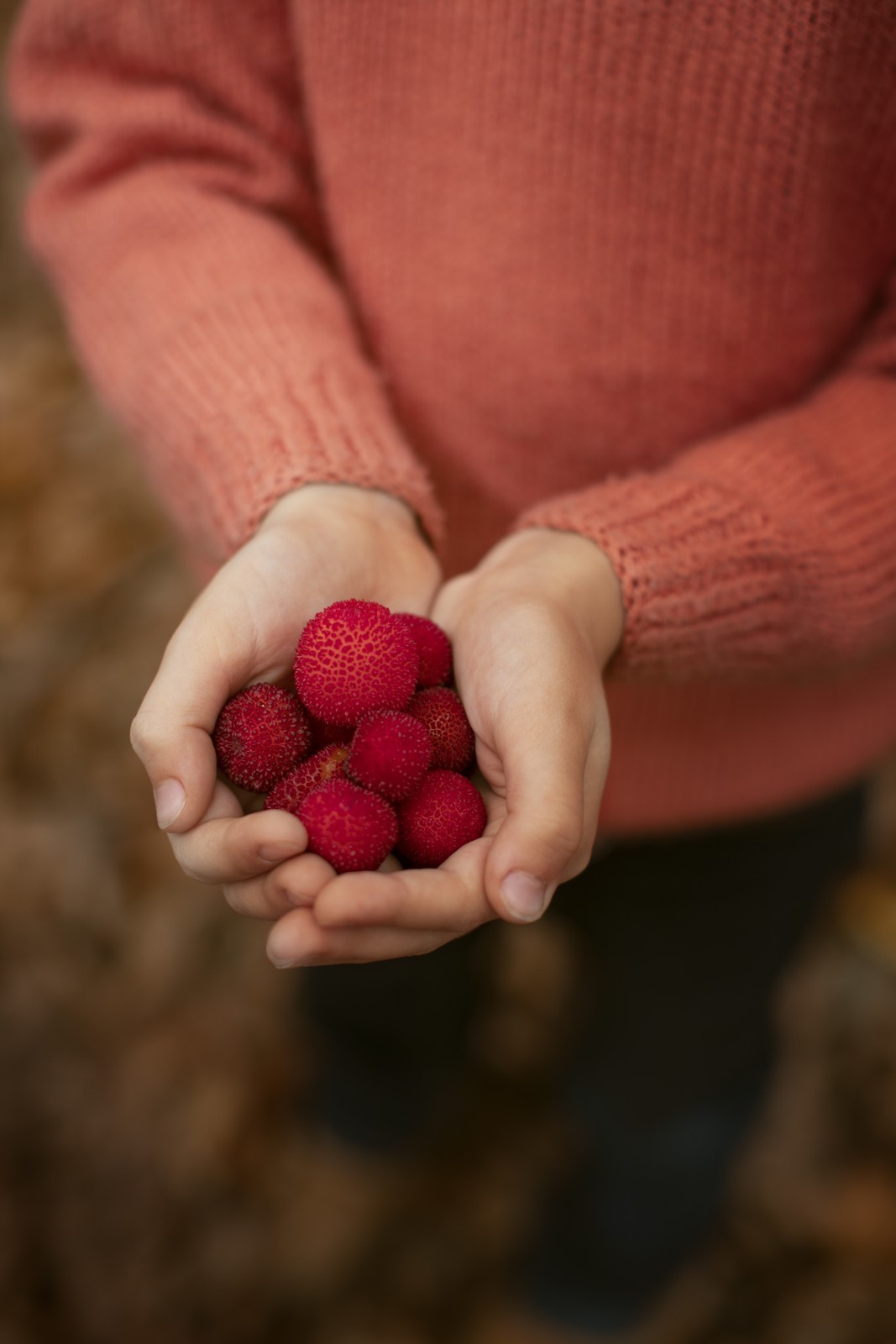 Destilação de medronho, no CIAM