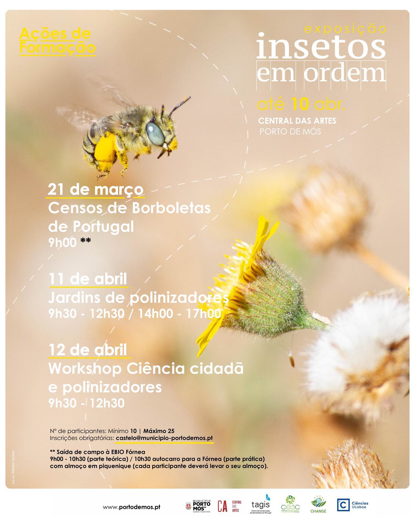 Exposição Insetos em Ordem – Ações de Formação