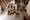 tiny_thumb_b16be1e1_6060_4501_b451_4ddce5c2dec7