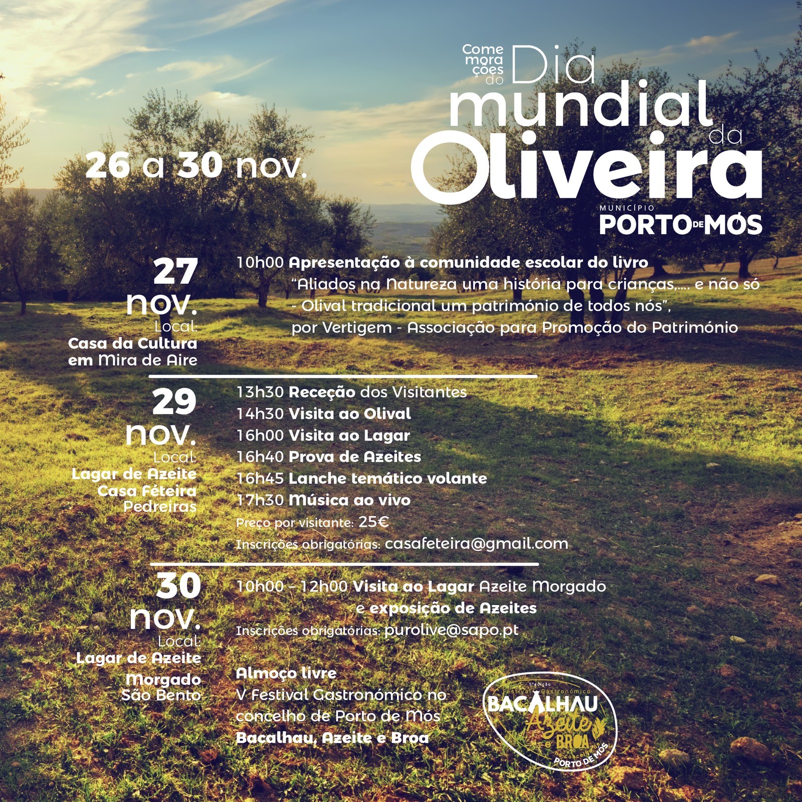 Dia Mundial da Oliveira