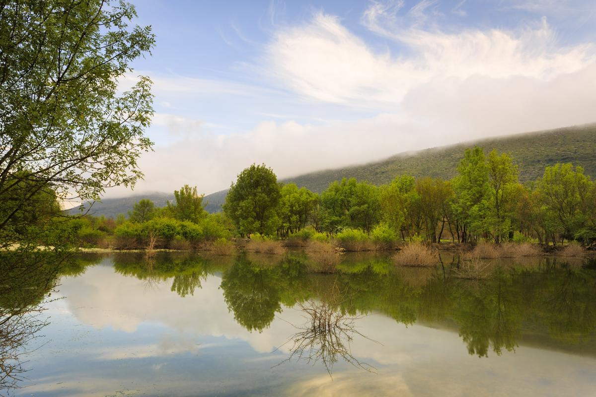 livroportomos_miradeaire_polje_00003_primavera